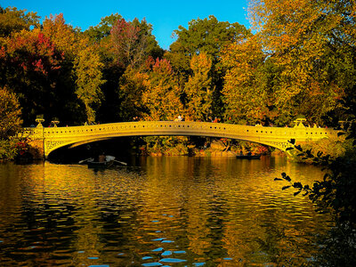 Central Park